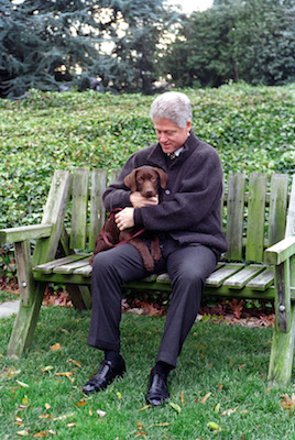 PRESIDENTIAL PETS | William J. Clinton Presidential Library and Museum