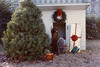 Nixon Family Dogs Nixon Family Dogs with Christmas Presents in Front of a Dog House