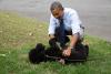 Barack Obama and The President plays with Sunny, the new Obama family pet, on the South Lawn on Sunny's first day at the White House