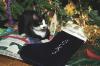 Socks the Cat sits on top of a Christmas tree skirt, under a decorated Christmas Tree, next to a Christmas stocking with Socks' name embroidered on it 