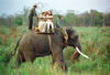 Chitwan National Forrest First Lady Hillary Rodham Clinton and Chelsea Clinton ride on an elephant. A guide stands on the elephant behind the Clintons. The Clintons sit in a basket attached to the top of the elephant. The elephant walks in a field of green grass.