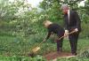 Tree Planting President Clinton and First Lady Hillary Rodham Clinton plant a tree on the South Grounds of the White House in memory of those who died in the bombing of the Murrah Federal Building in Oklahoma City