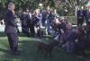 President Clinton introduces Buddy the brown Labrador dog to the press pool at the White House. Buddy smells kneeling photographers that are taking photos of the President and his dog 