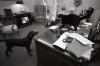Socks the cat and Buddy the dog stare at one another while Betty Currie speaks on the telephone in the Outer Oval Office of the White House