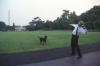 The President throws a ball to Buddy the Dog at the White House
