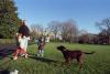 President Clinton and his young nephews, Tyler Cassidy Clinton, and Zach Rodham throw a ball to Buddy the brown Labrador dog on the South Lawn of the White House
