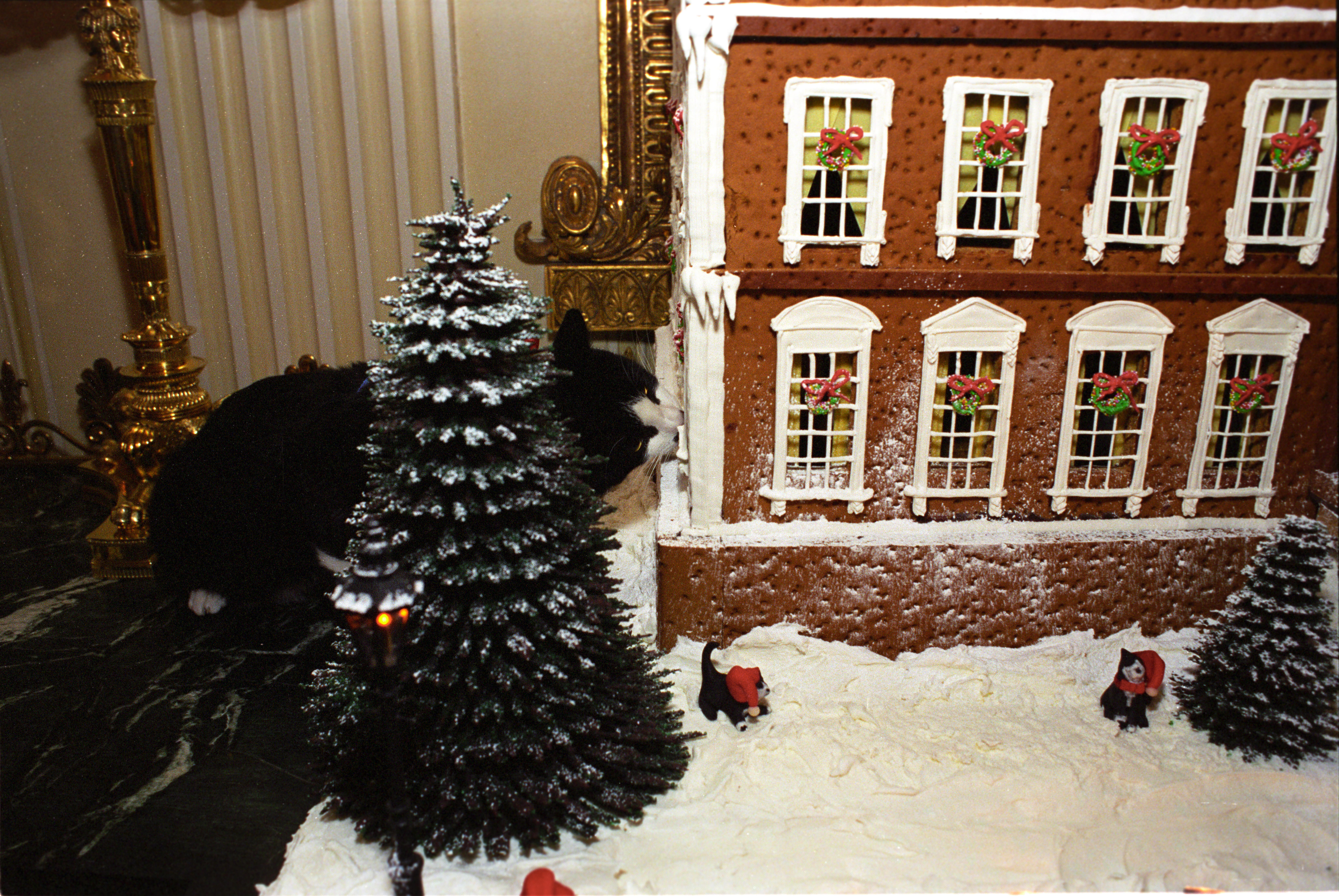 Socks the Cat sits next to a gingerbread White House with icing for snow and fake trees.