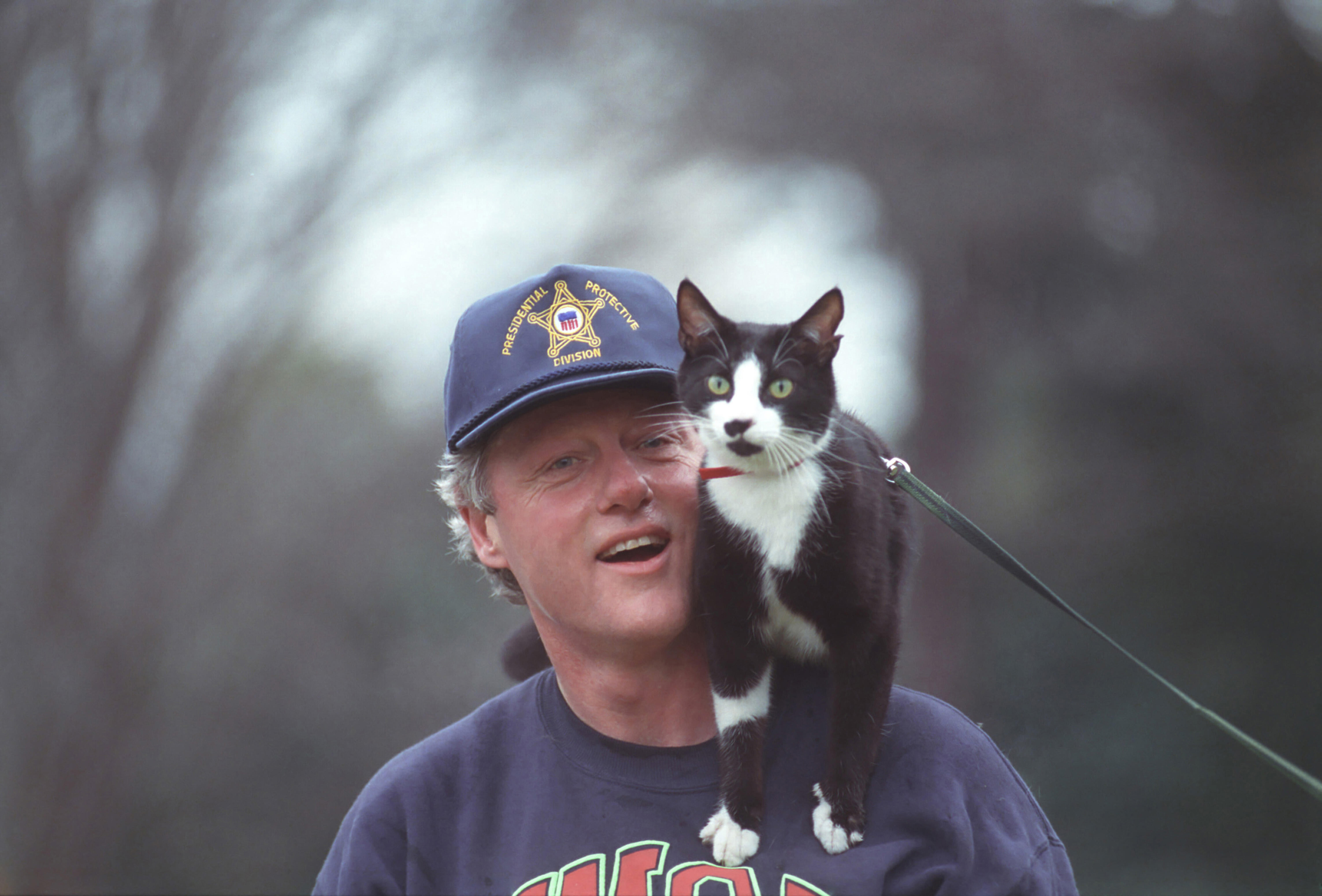 Socks the cat stands on top of President William Jefferson Clinton outside of the White House