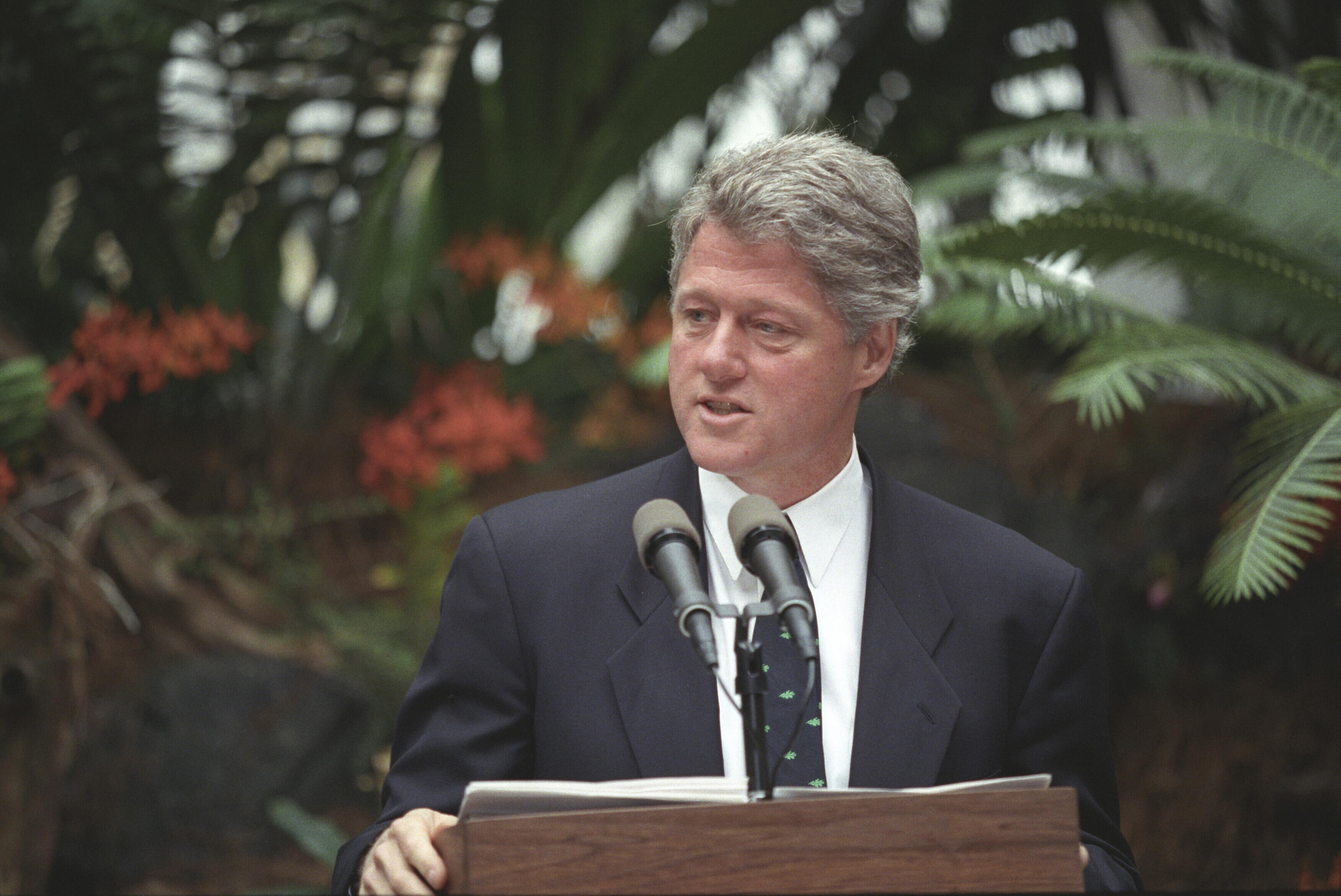 President Clinton stands behind a podium. Behind the president are green pal leaves and red flowers.