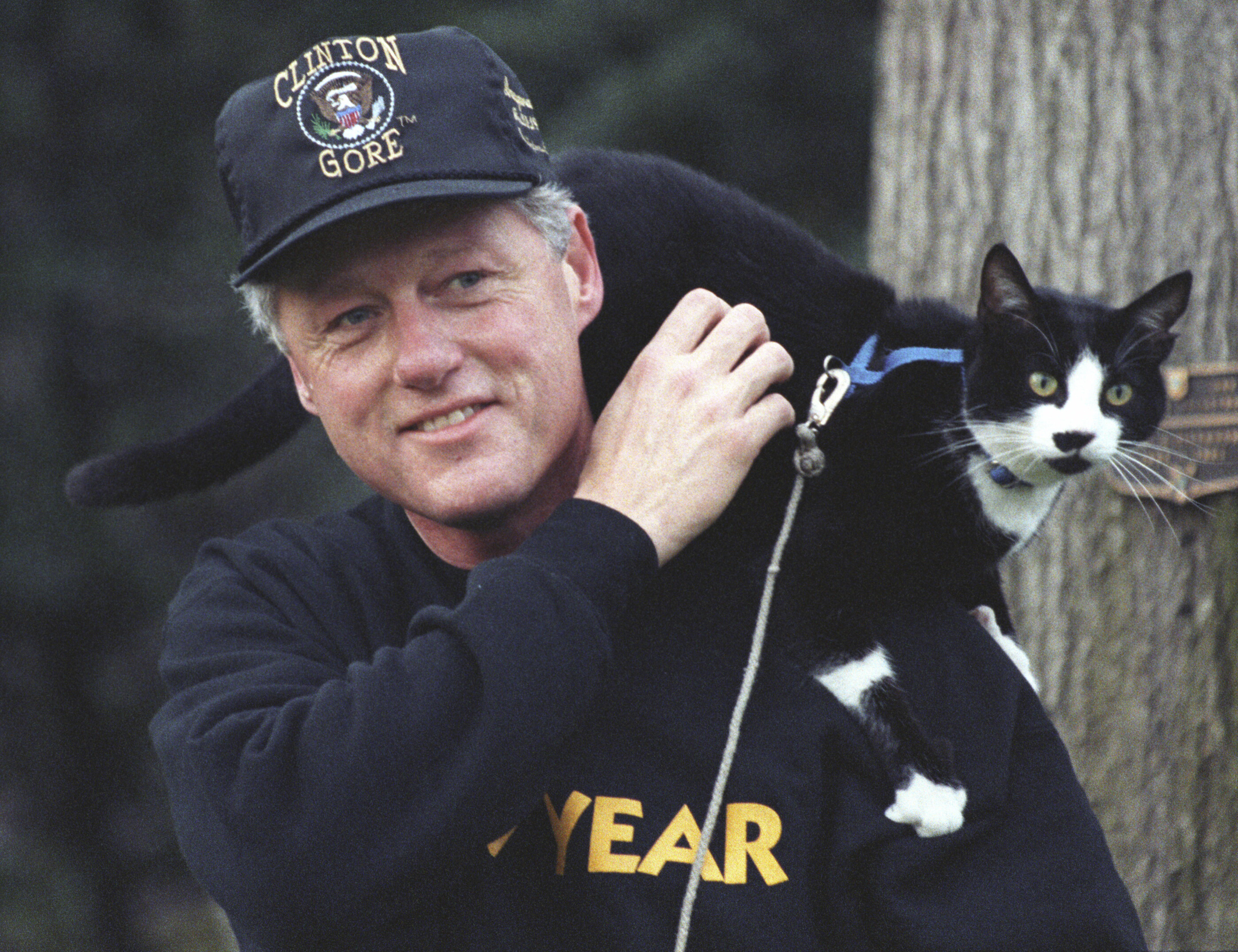 Socks the Cat sits on top of President Clinton's shoulder. The President scratches Socks. The President wears a city year sweatshirt and a baseball cap.