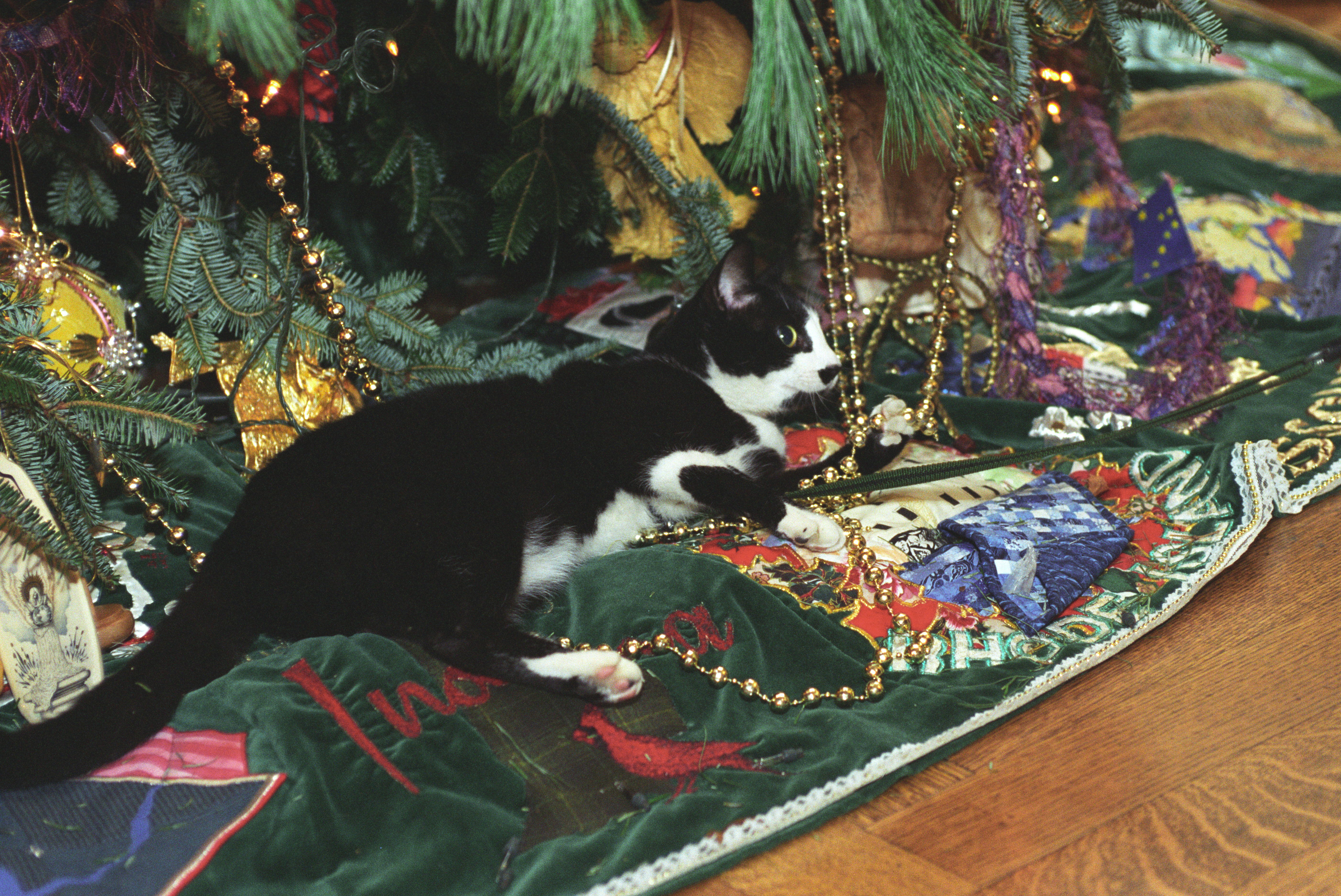 Socks the Cat lays on top of a Christmas tree skirt under a decorated Christmas tree 