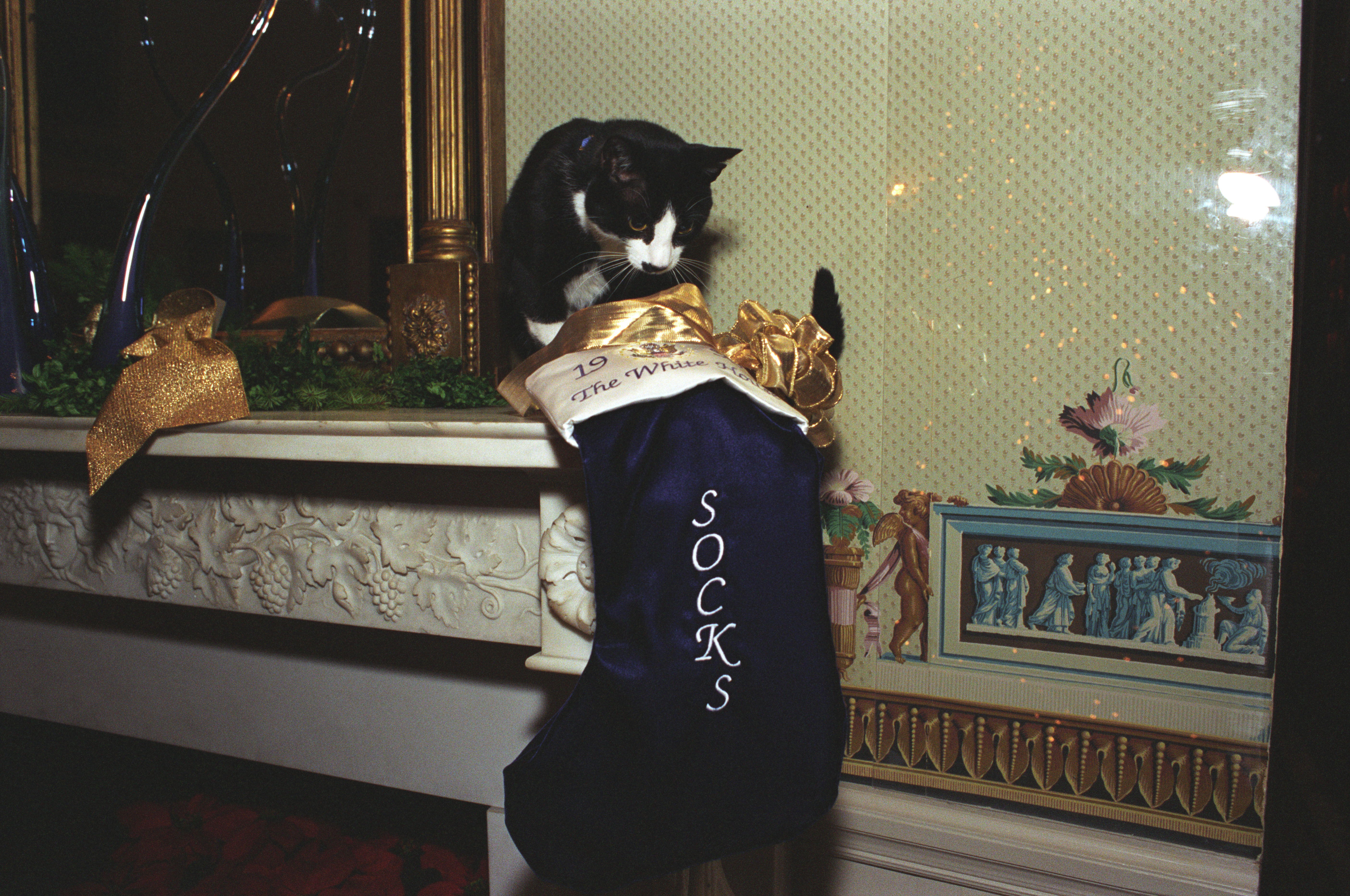 Socks the Cat sits on top of a fireplace. A stocking embroidered with Socks' name hangs next to the fireplace.