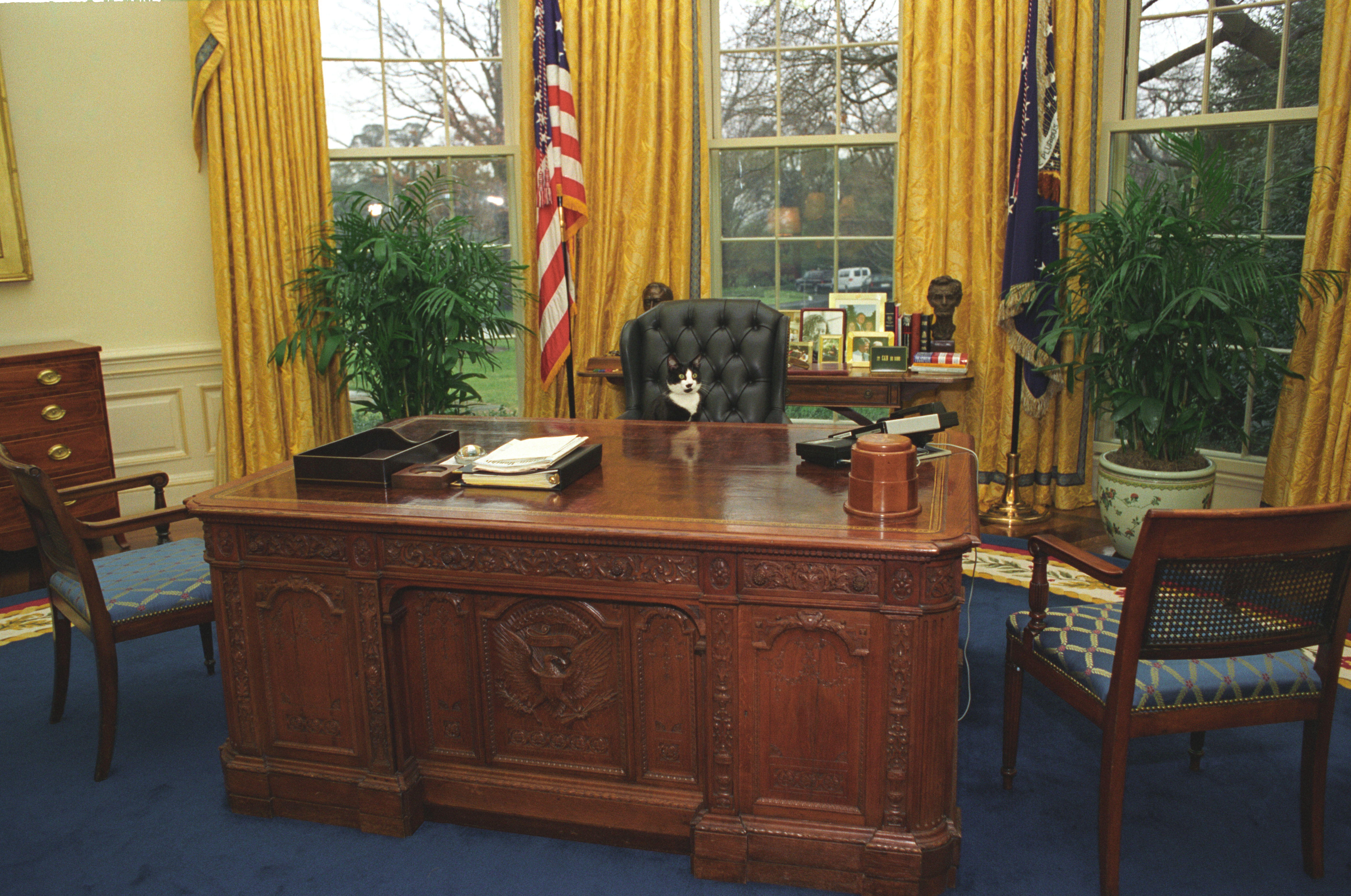 Socks the cat sits at the Resolute Desk in the Oval Office