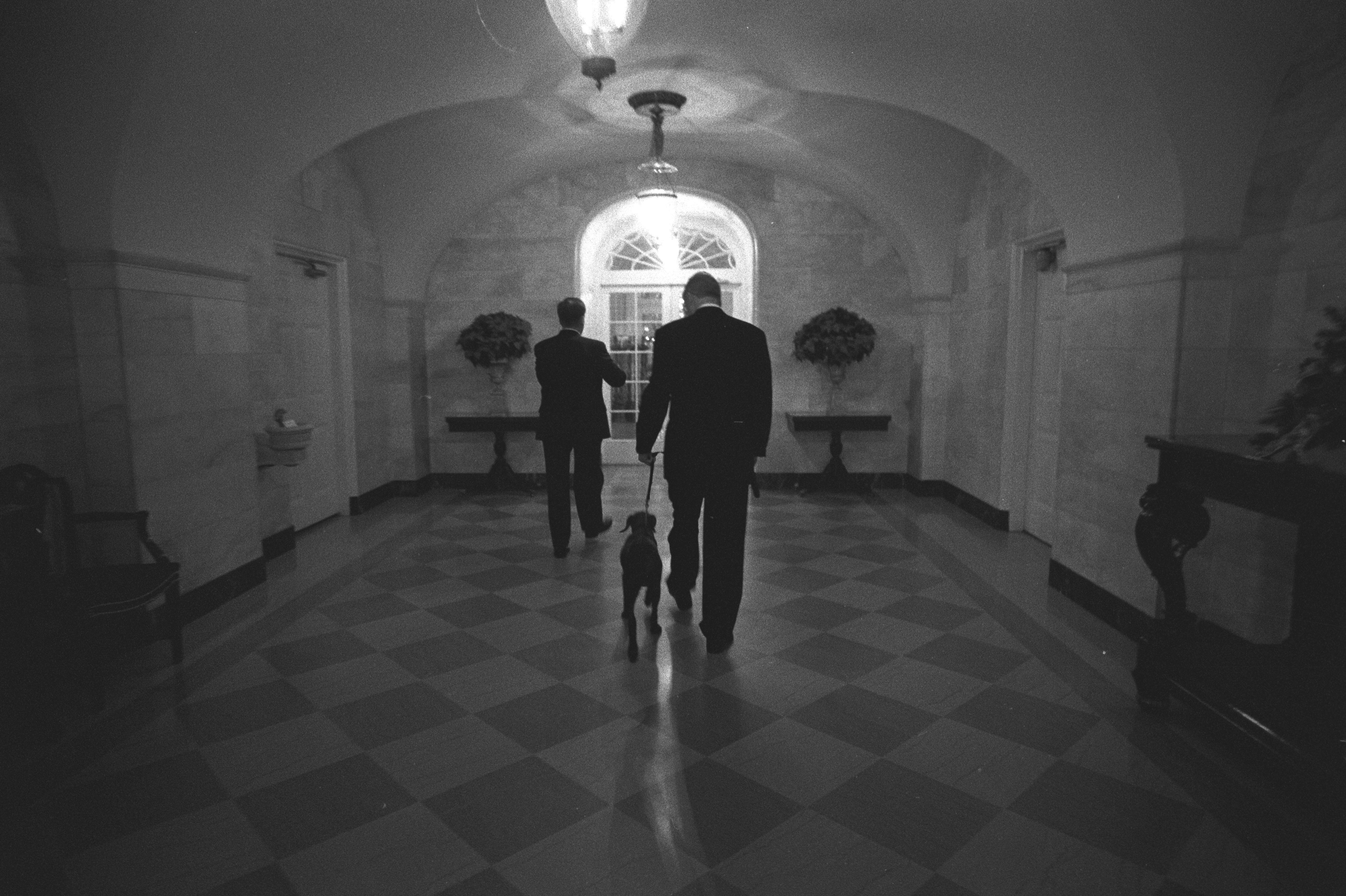 Black and White photograph. President Clinton walks, with Buddy the dog on a leash, down a hallway in the White House