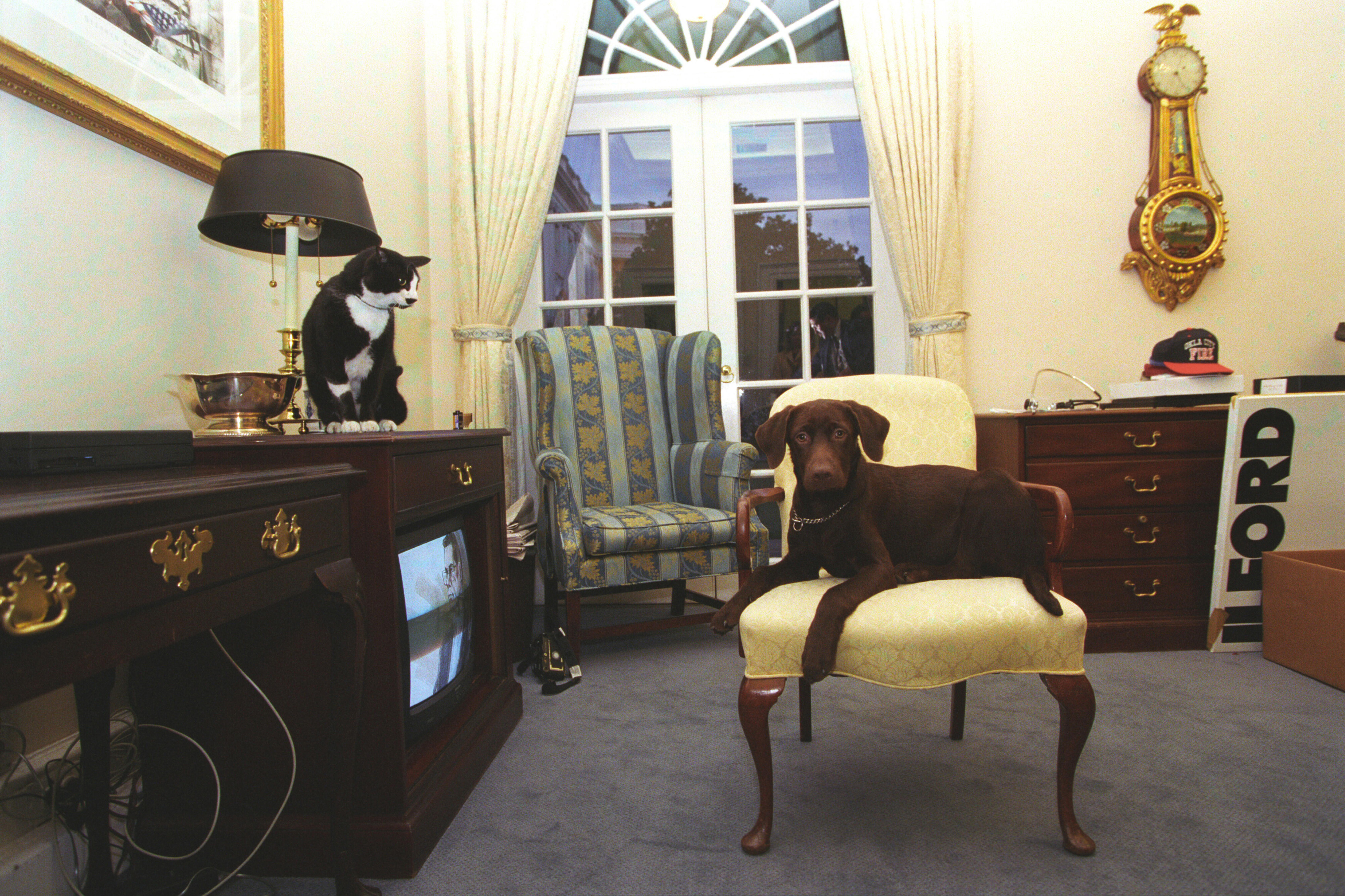 Socks the cat and Buddy the dog rest in the Outer Oval Office of the White House. Socks stares at buddy from the top of a television set