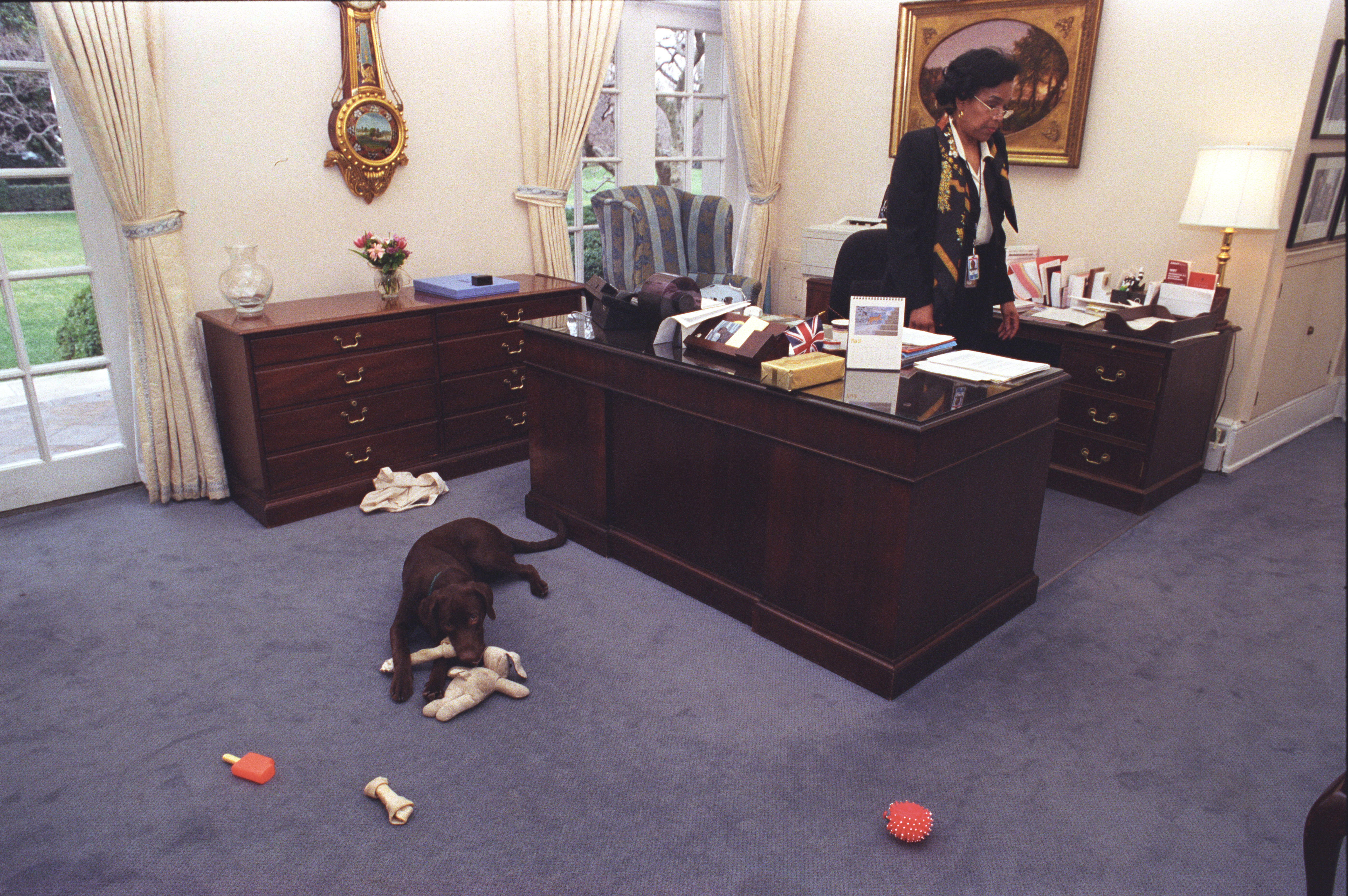 Buddy the dog plays with a toy in the Outer Oval Office of the White House. President Clinton's secretary, Betty Currie stands behind her desk.