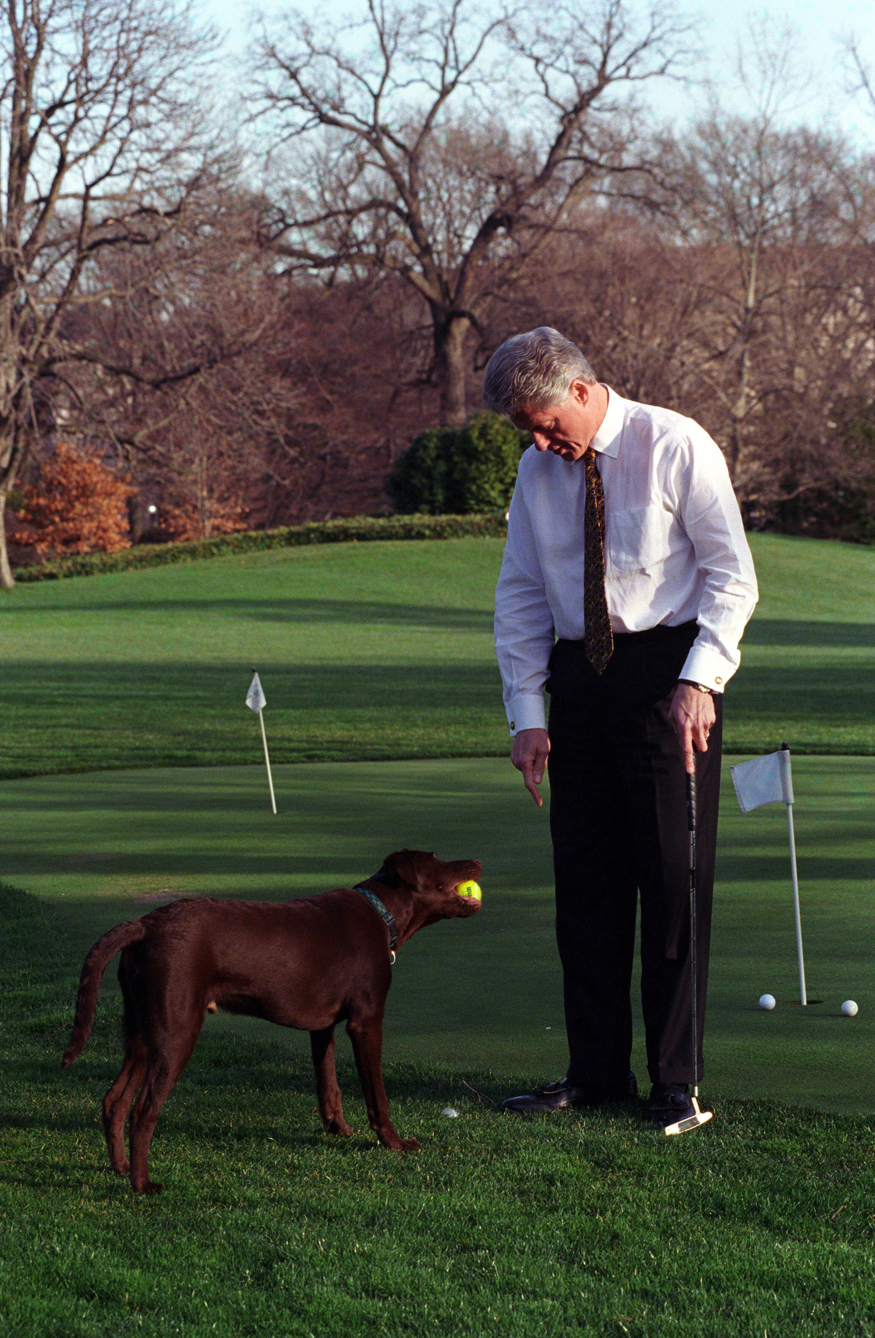 President Clinton receives agreen/yellow tennis ball that Buddy retrieved for him on the White House Putting Green