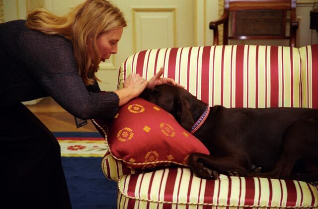 Musician, Joni Mitchell pets Buddy the dog in the Oval Office of the White House
