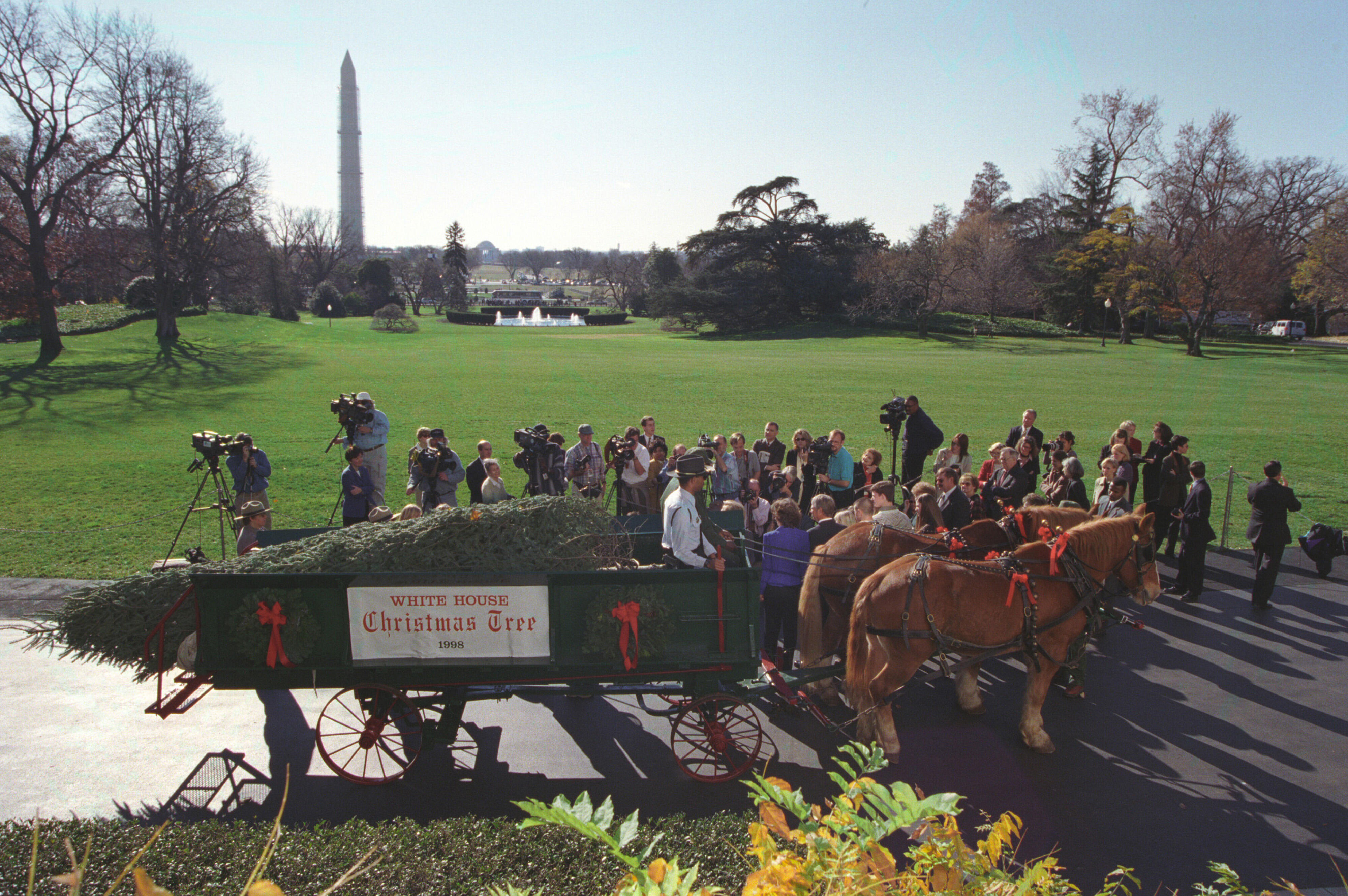A crowd is gathered around a green, horse drawn wagon. Two horses pull a green wagon containing the White House Christmas tree.
