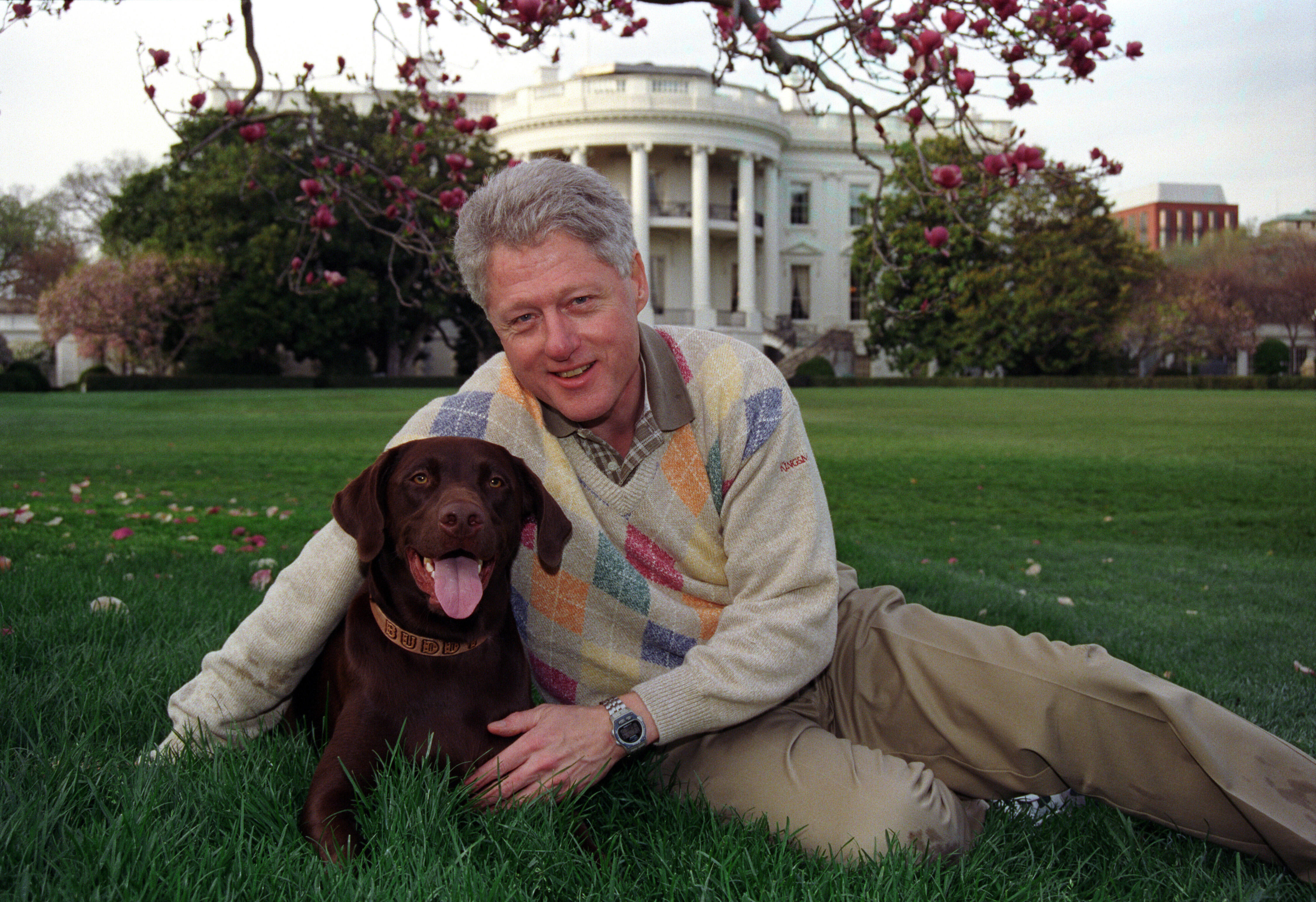President Clinton poses with Buddy for a portrait photo on the South Lawn of the White House. President Clinton sits reclined toward his brown Labrador dog